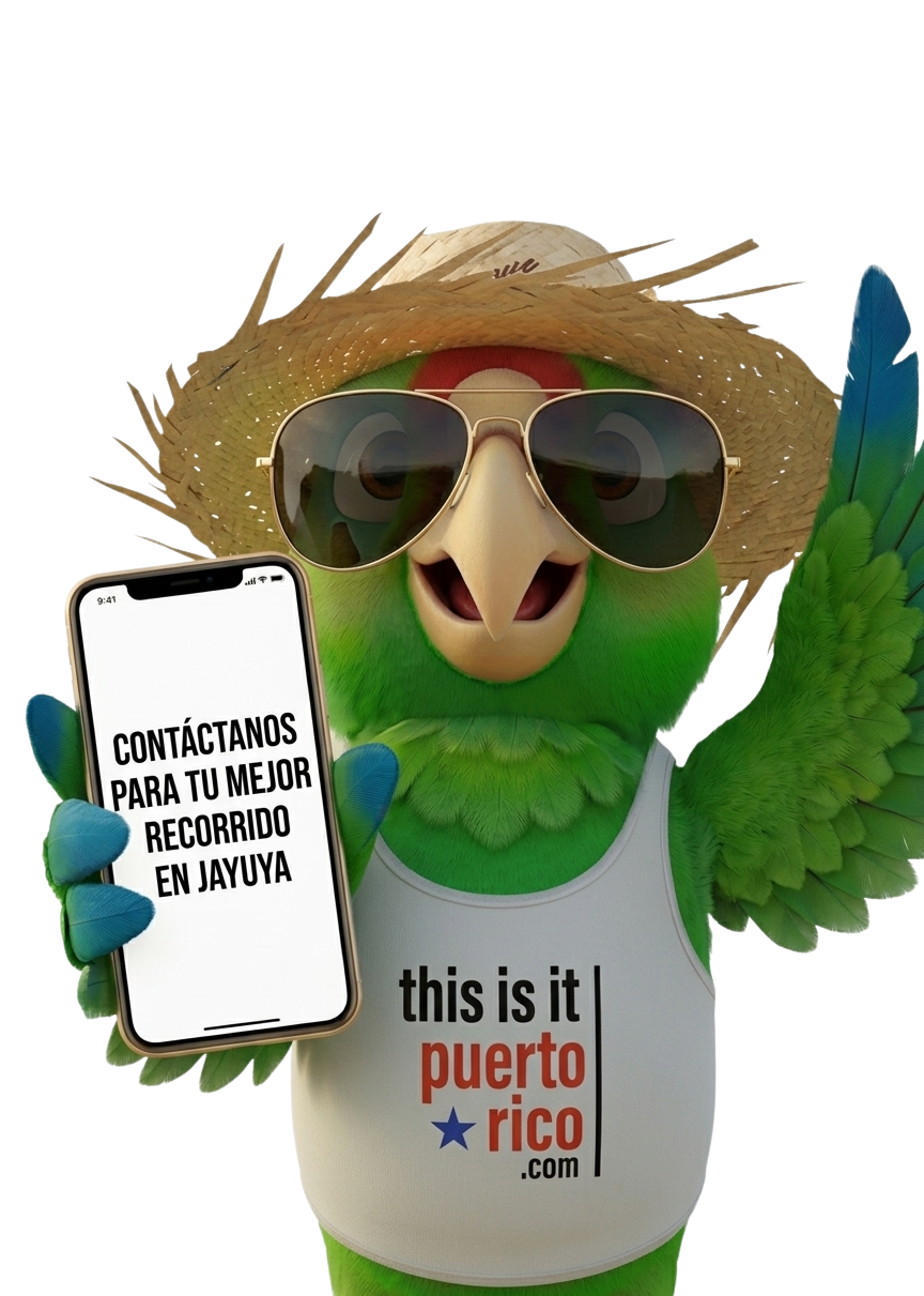 Croquis Contacto Jayuya - Mapa ilustrado y agenda turística